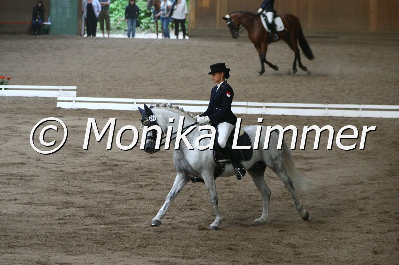 109L8586_Lett_Element of Surprise_L Dressur.JPG